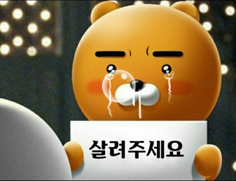 메디 캐리 내 포폴에서 나가! | 인스티즈