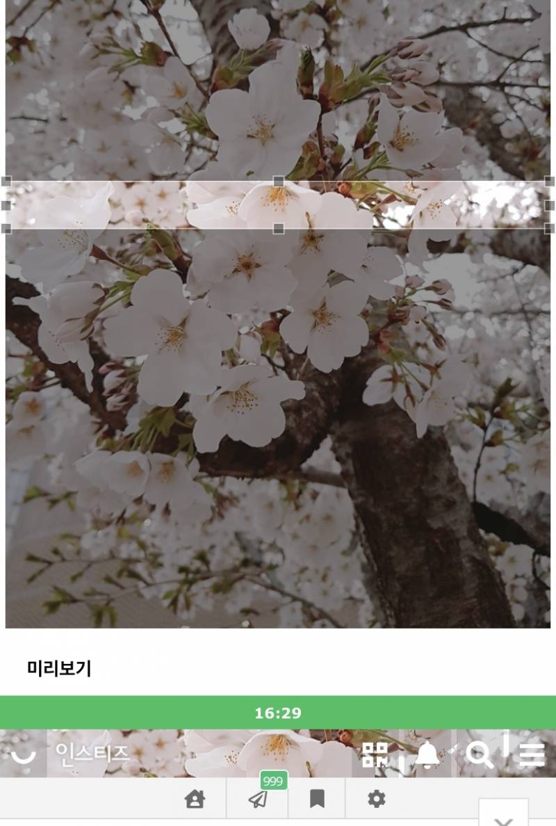 ❗️상단바 사진 좀 골라줘 | 인스티즈