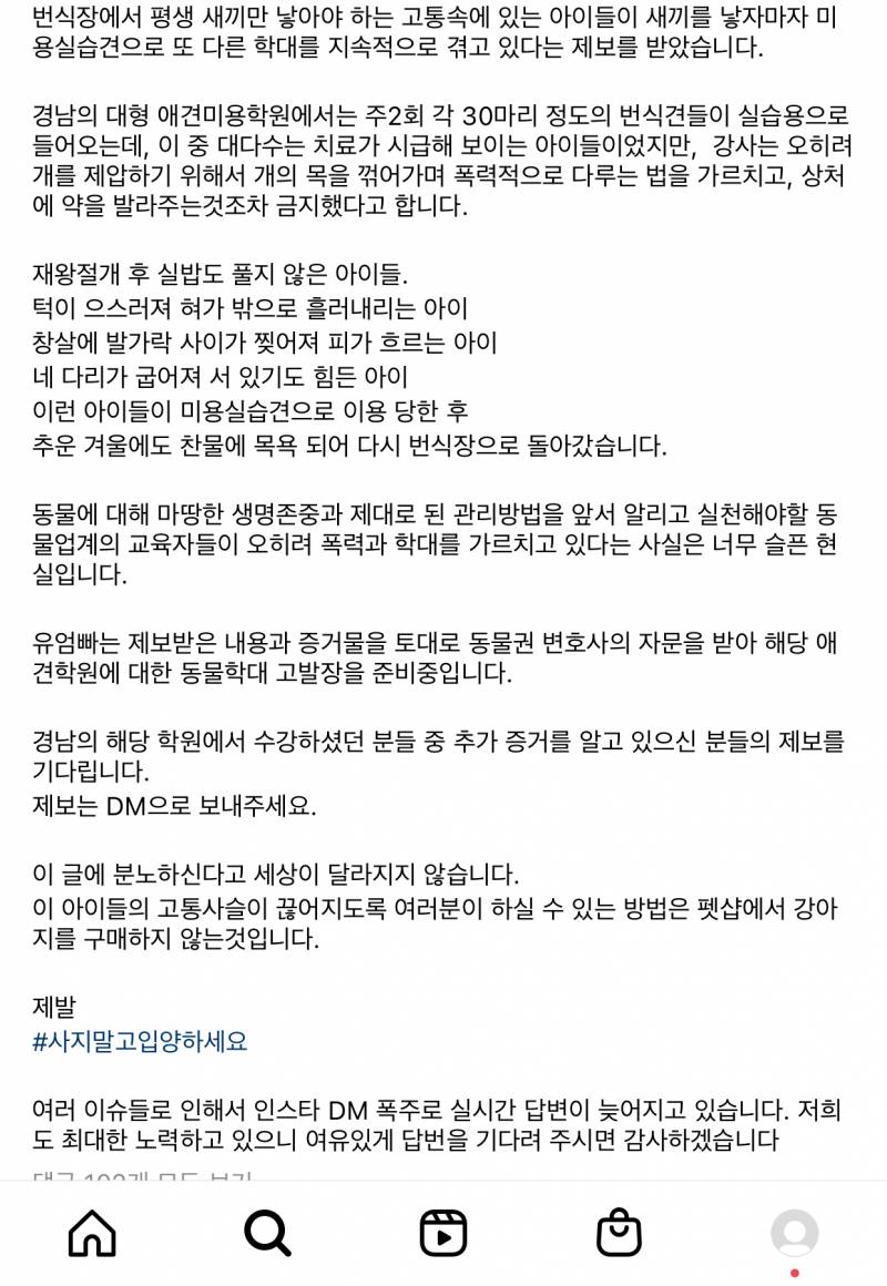 😡 아 진짜 사람이 제일 악마야ㅠㅜ 강아지들 어떡해ㅠ | 인스티즈