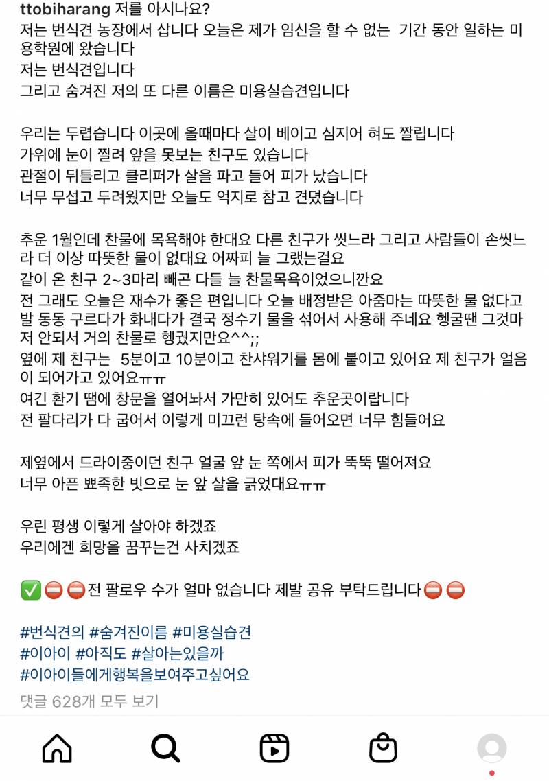 😡 아 진짜 사람이 제일 악마야ㅠㅜ 강아지들 어떡해ㅠ | 인스티즈
