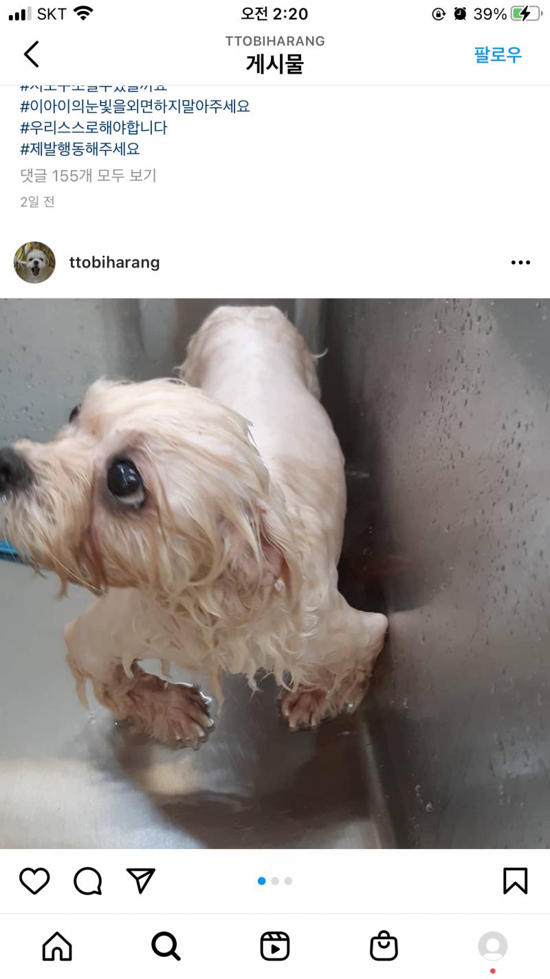 😡 아 진짜 사람이 제일 악마야ㅠㅜ 강아지들 어떡해ㅠ | 인스티즈