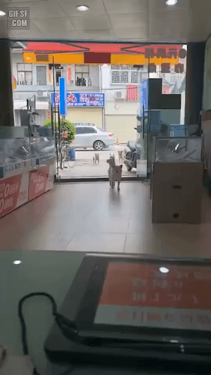 내가 제일 좋아하는 짤 | 인스티즈