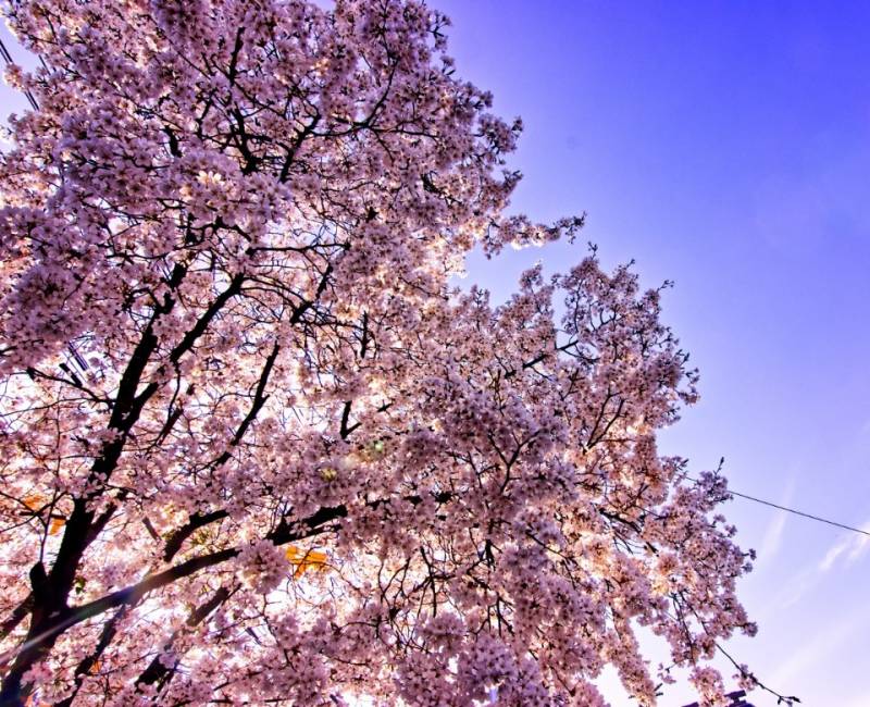 사진 어때? | 인스티즈