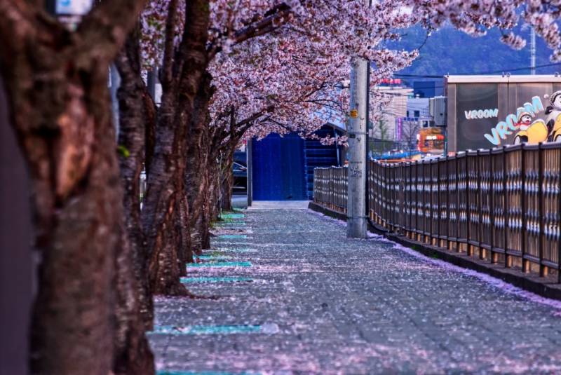 사진 어때? | 인스티즈