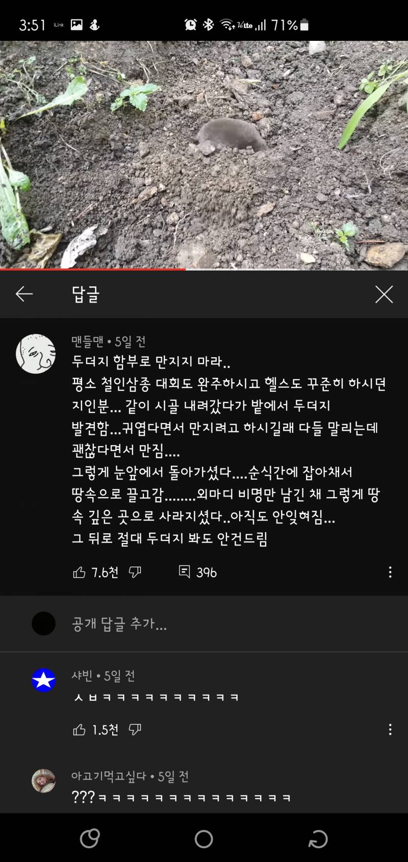 아니 두더지 영상보는데 댓글 개웃김 | 인스티즈