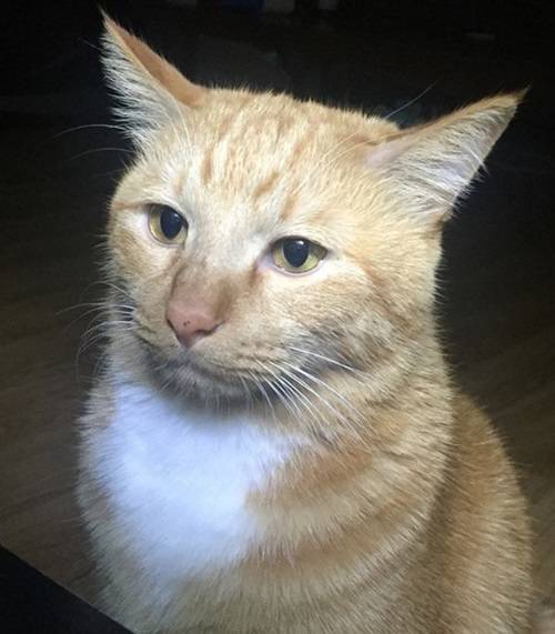 과제 다했다 | 인스티즈