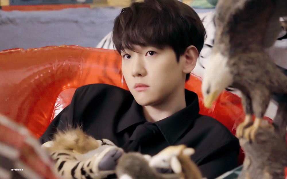 [잡담] 백현씨 제대하면 무엇보다 밤비 무대 먼저 꼭 해주기 약속🙏 | 인스티즈