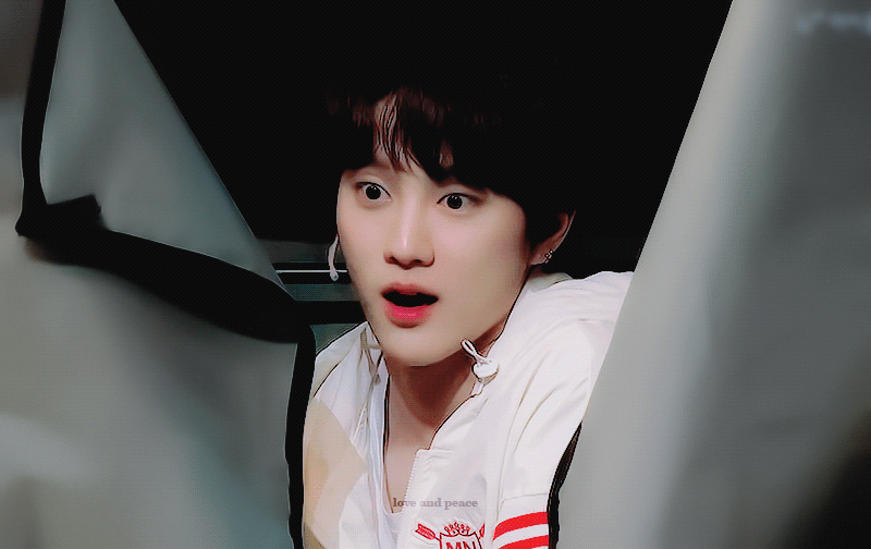 [잡담] 완전 고양이 그 자체 | 인스티즈