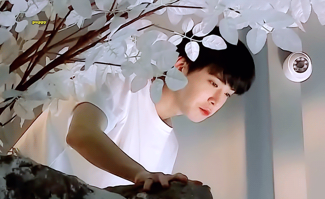 [잡담] 인어왕자님 | 인스티즈