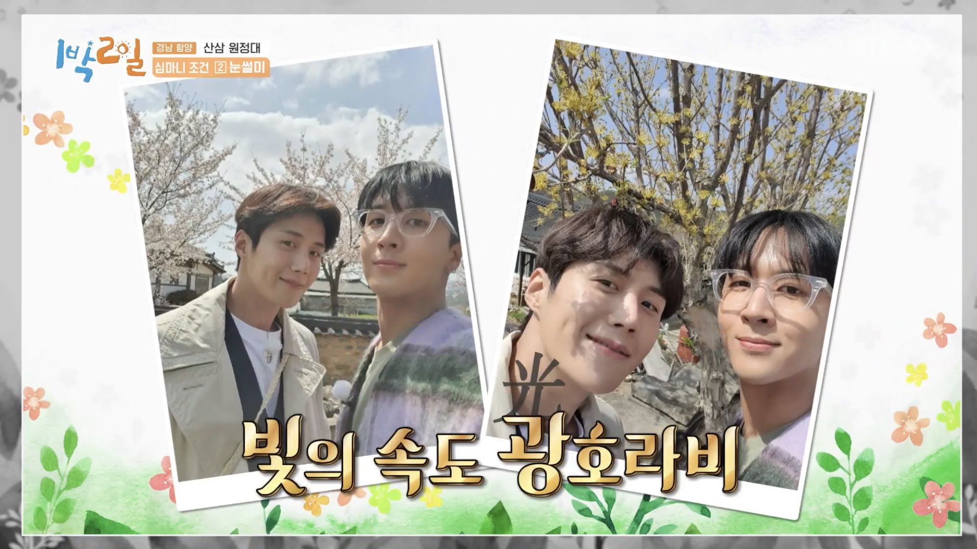 [잡담] 김선호라비 간절함이 없다 | 인스티즈