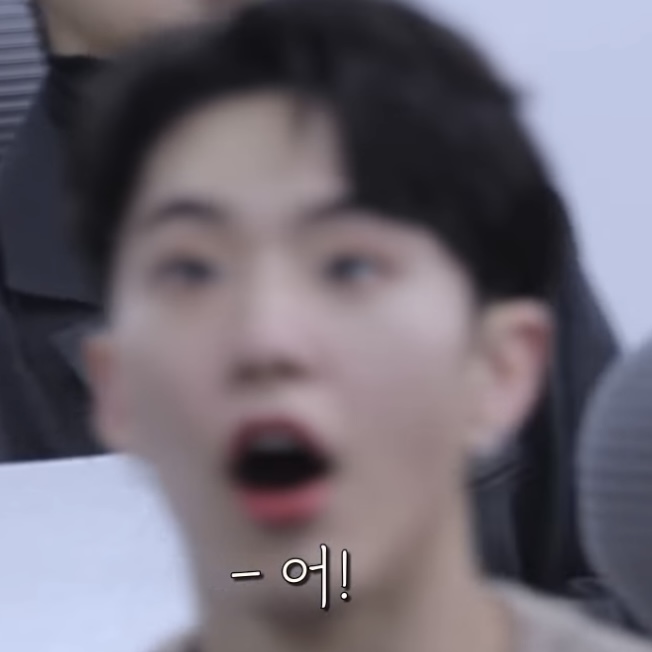 [잡담] 세븐틴 팬들 똥촉일 때 쓸 새로운 짤 | 인스티즈