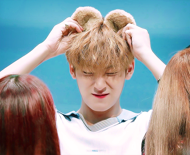 [잡담] 머리에 뭔가를 얹은 세븐틴 민규가 좋다면... | 인스티즈