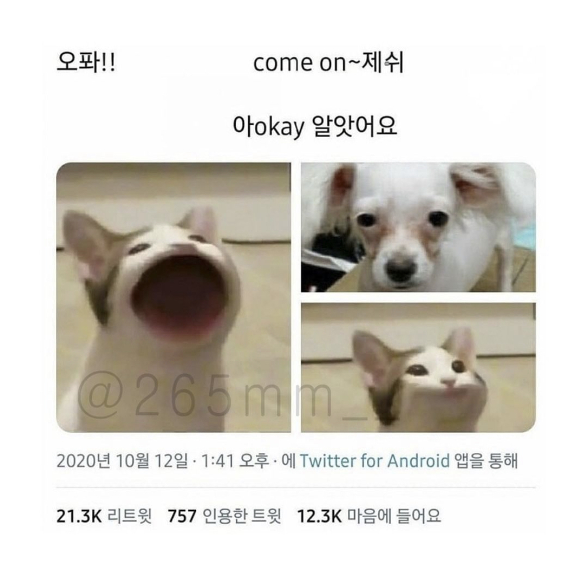 [잡담] 제발 이거 누가 유재석한테 보여줘.. | 인스티즈