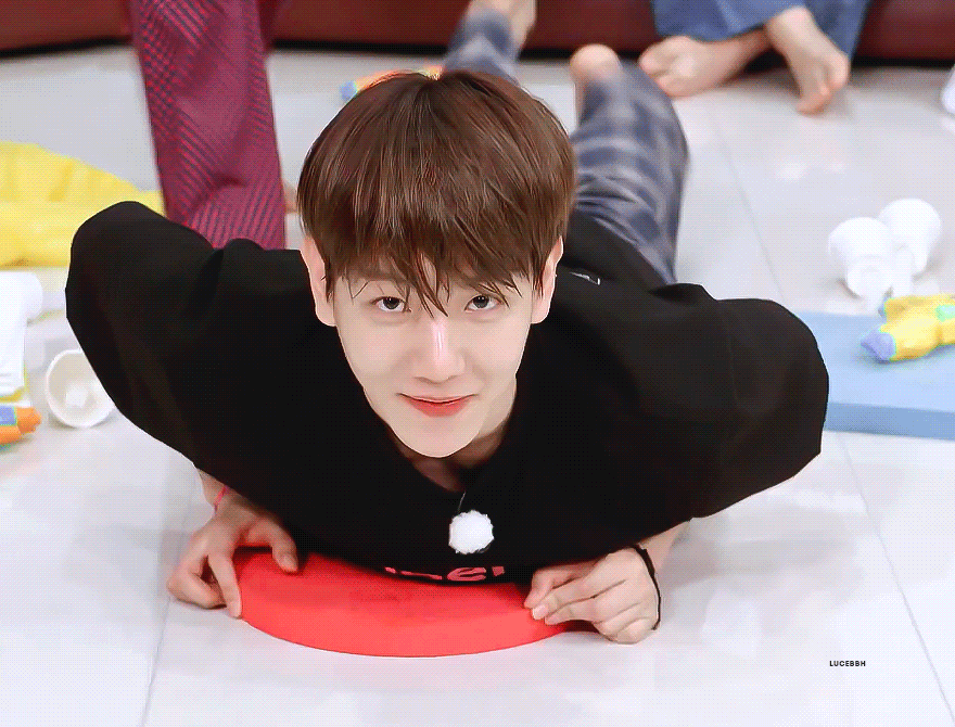 [잡담] 엑소 백현 카이 ㄹㅇ 누가봐도 강아지고 곰돌이임(짤 많음 ㅈㅇ) | 인스티즈