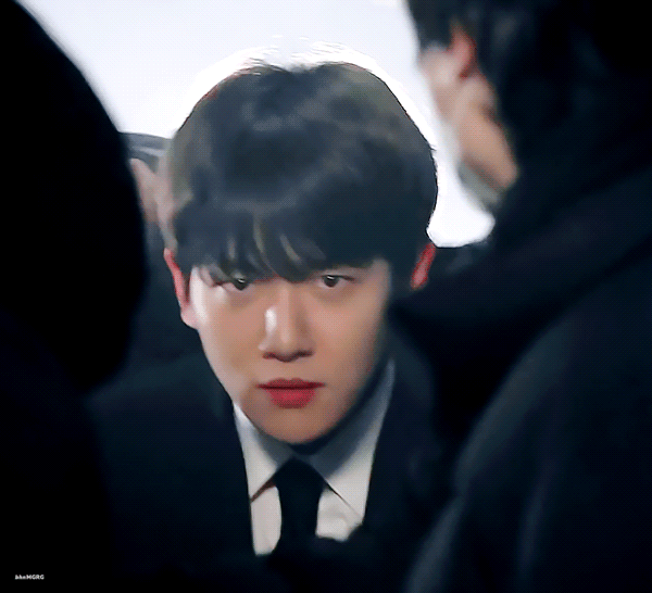 [잡담] 엑소 백현 카이 ㄹㅇ 누가봐도 강아지고 곰돌이임(짤 많음 ㅈㅇ) | 인스티즈