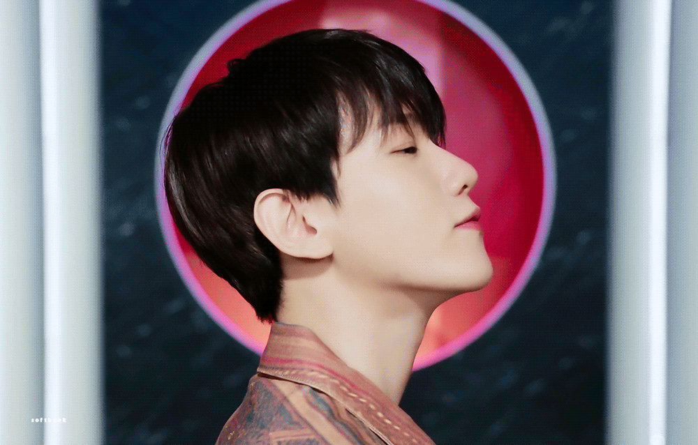 [잡담] 엑소 백현 카이 ㄹㅇ 누가봐도 강아지고 곰돌이임(짤 많음 ㅈㅇ) | 인스티즈