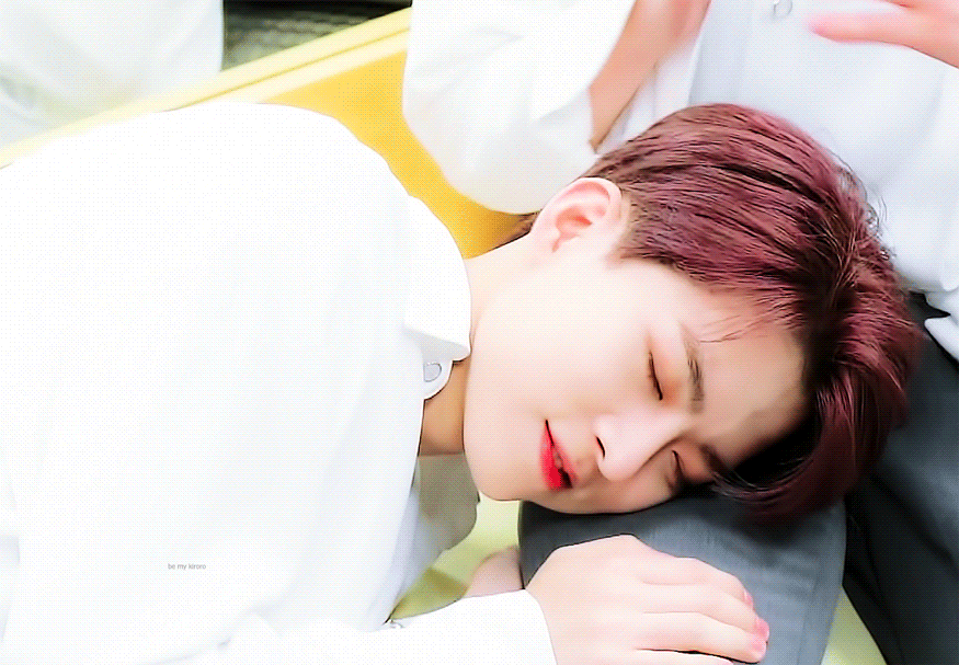 [잡담] 솔직히 강아지 닮지 않았어????? | 인스티즈