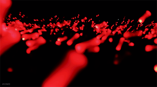 [잡담] 아이콘팬들 불티 조명테러 익숙하다하는 이유 | 인스티즈