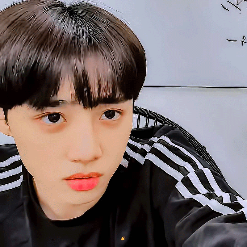 [잡담] 카메라에 비친 자신의 모습을 보고 사랑에 빠진 너굴 | 인스티즈