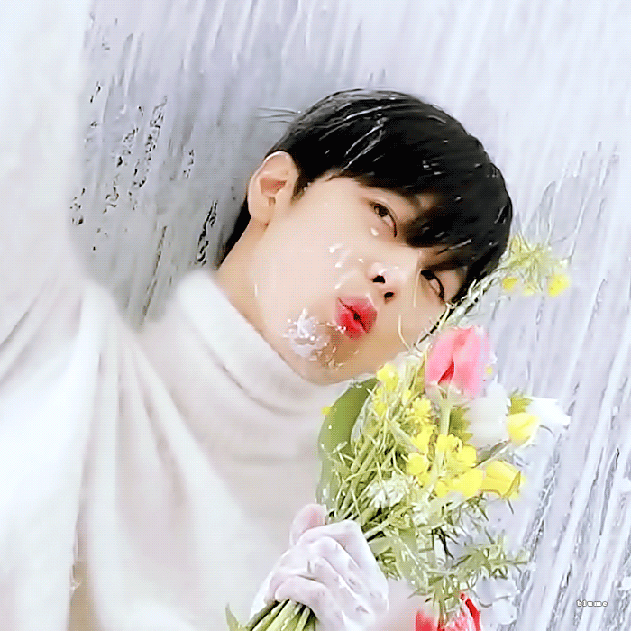 [잡담] 고요한 새벽, 덥뮤다 얼굴 구경하고 가세요 | 인스티즈