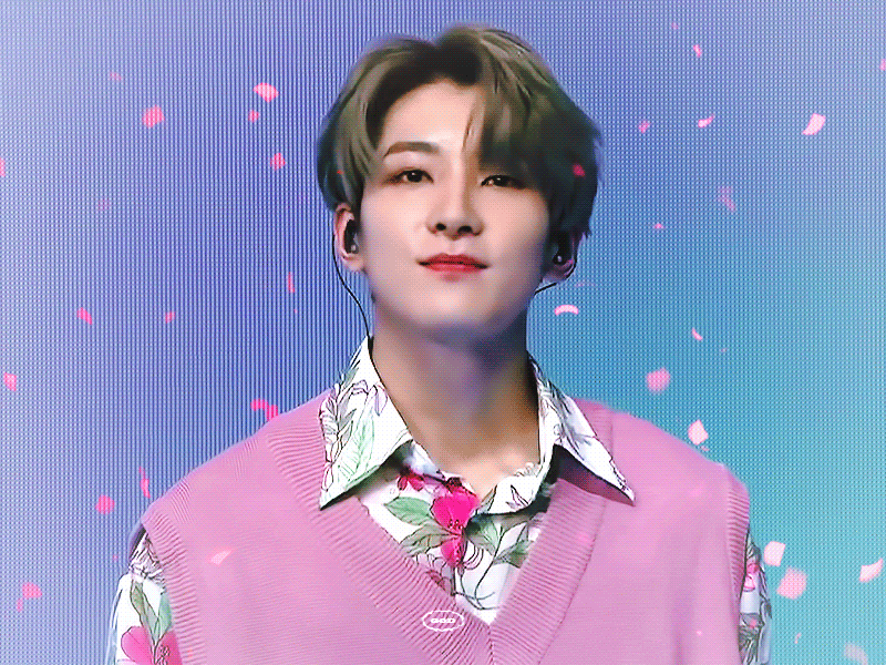 [잡담] 내가 생각하는 세븐틴 이미지 | 인스티즈