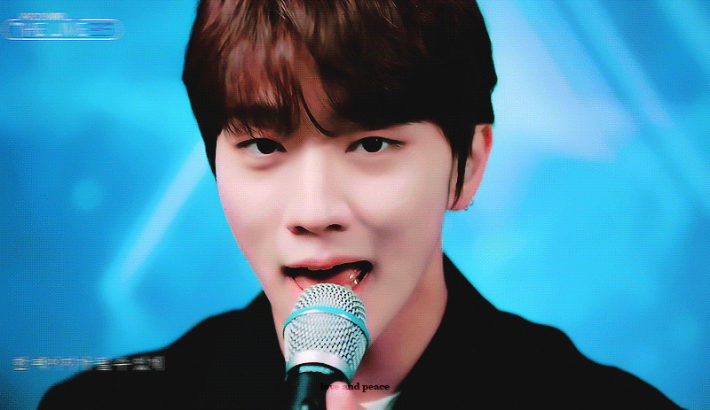 [잡담] 메보즈... 개사랑해진짜로 | 인스티즈