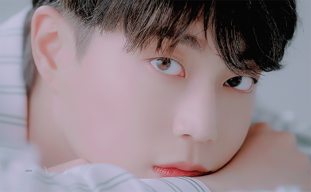 [잡담] 하이라이트팬들 화난 이유 | 인스티즈