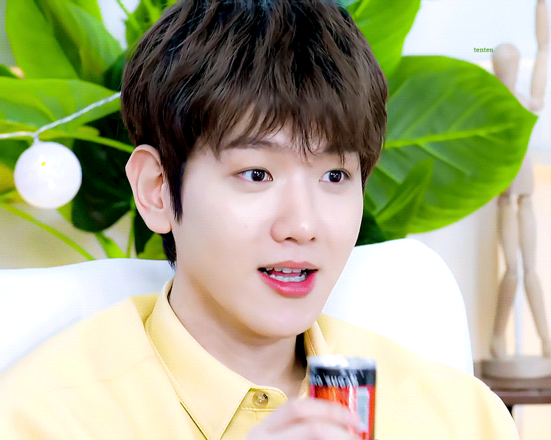 [잡담] 아 변백현 보고싶다 | 인스티즈