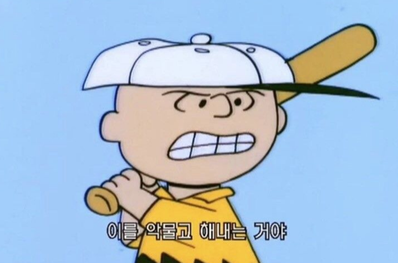 [잡담] 지금 당장 하이라이트 독방에 찾아온 저 사랑스러운 사람들에게 뭘 해줄 수 있지?? | 인스티즈