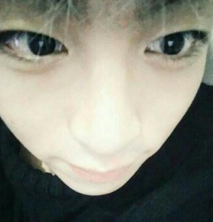 [잡담] 언더속눈썹 이런애 처음봐 . . 진짜 늑대야 | 인스티즈