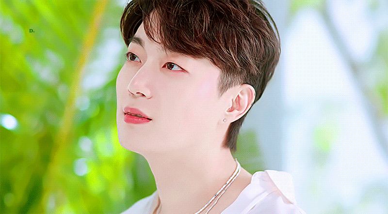 [잡담] 팬들이 해달라는거 다 해주는 아이돌이 있다 ?! | 인스티즈