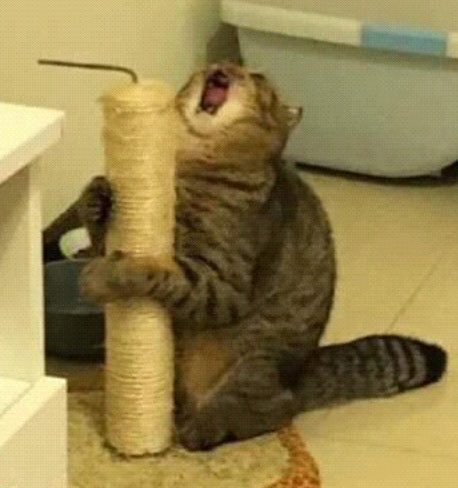 [잡담] [행복] 선우야 주연아.. | 인스티즈