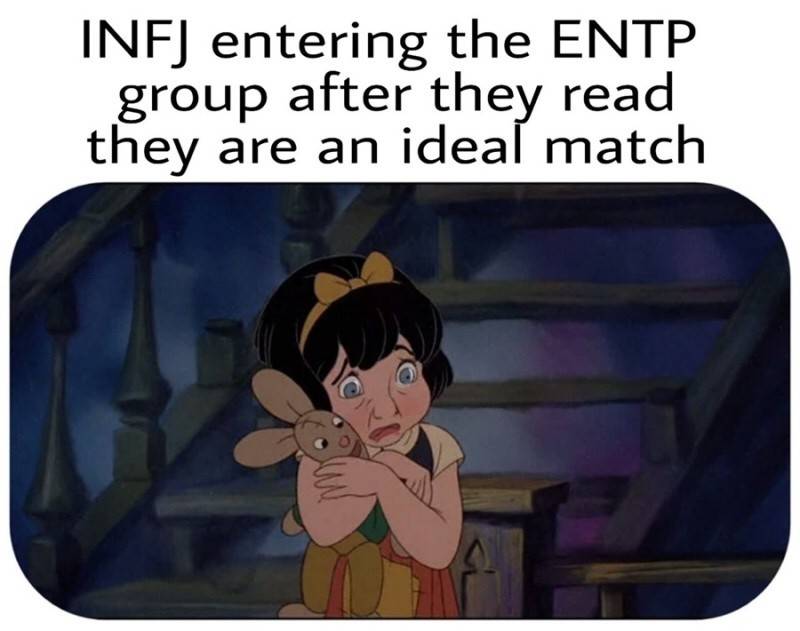 해외에서 유명한 ENTP 💙 INFJ 밈 모음 | 인스티즈