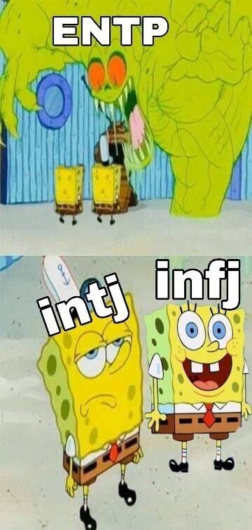 해외에서 유명한 ENTP 💙 INFJ 밈 모음 | 인스티즈