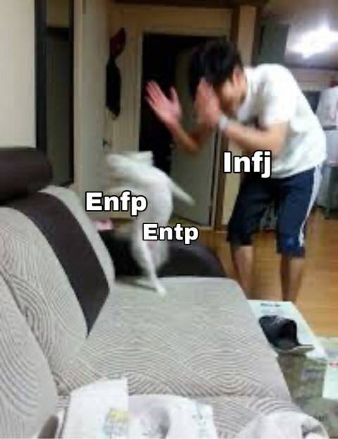 해외에서 유명한 ENTP 💙 INFJ 밈 모음 | 인스티즈