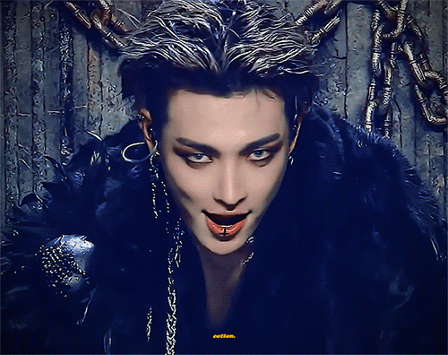 [잡담] 퓨마 모에화하는 돌 있나...? | 인스티즈