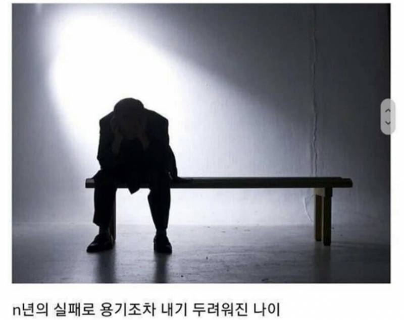 요즘 2,30대에 많이 보이는 친구들 | 인스티즈