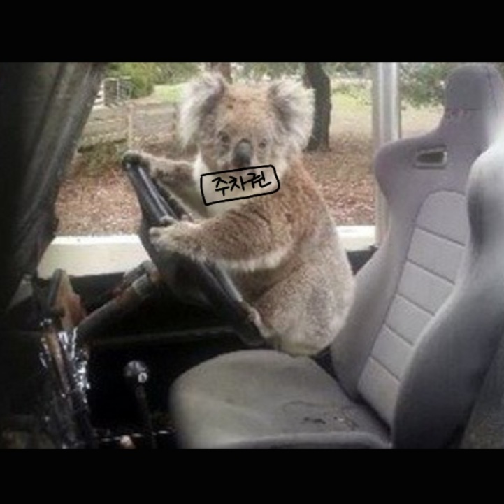 [잡담] 야 코알라 기엽거든? ㅈㅇ골차 | 인스티즈