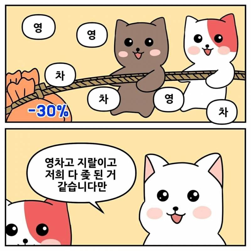 [코인] 도지는 오를거임 | 인스티즈