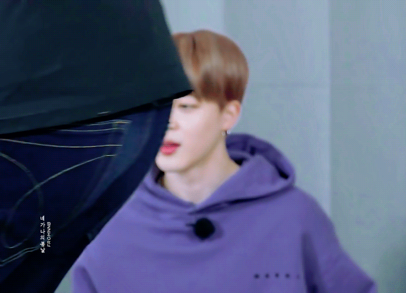 [잡담] 방탄팬들은 모든 생물체 앞에 아기 붙이면 지민 되는거 같음? | 인스티즈