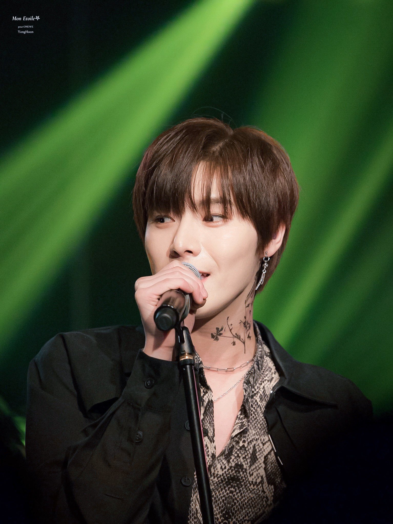 [잡담] 내 최애 신발 닮음 | 인스티즈