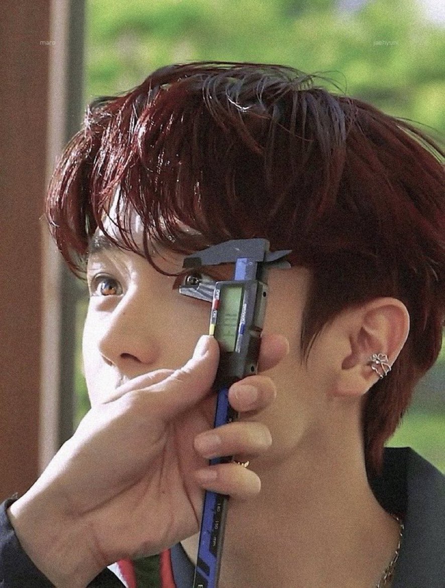 [잡담] 타팬이 볼 때 무슨 동물 생각나? | 인스티즈