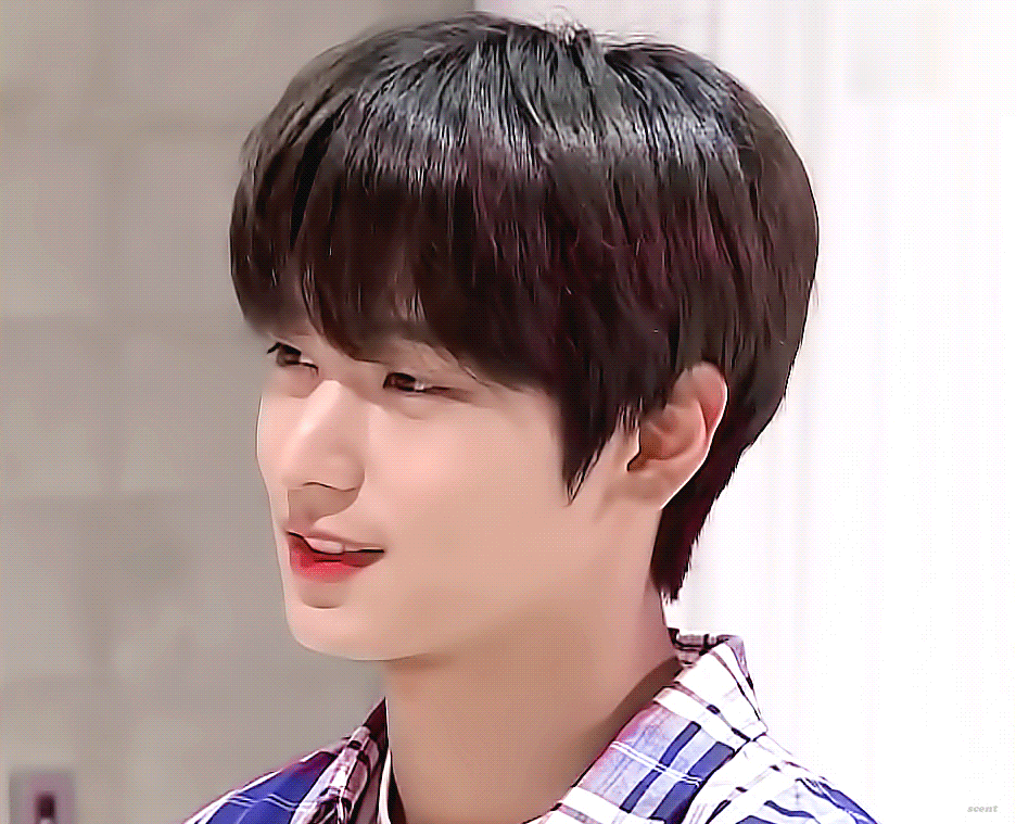 [잡담] 그럼 난 시골쥐 들튀 | 인스티즈