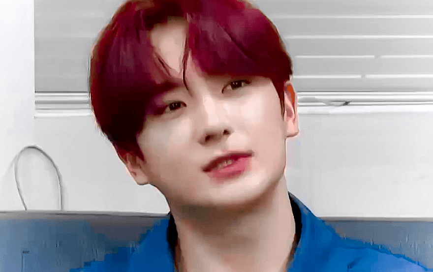 [잡담] 타팬이 볼 때 무슨 동물 생각나? | 인스티즈