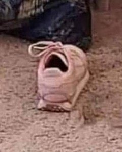 [잡담] 내 최애 신발 닮음 | 인스티즈