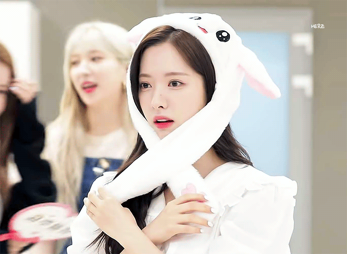 [잡담] 우리 팀 토끼 | 인스티즈