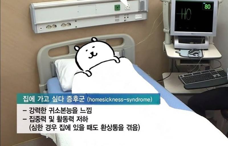 [심각] 나 증후군이 너무 심각해 곧 죽을거같아 | 인스티즈