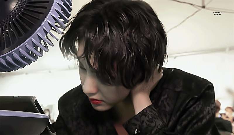 [잡담] 호시가 자기모에화 호랑이로 미는 이유 | 인스티즈