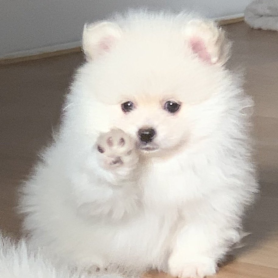 [잡담] 자기 손크다고 했다고 엄청 좋아하는 뉴종현 | 인스티즈