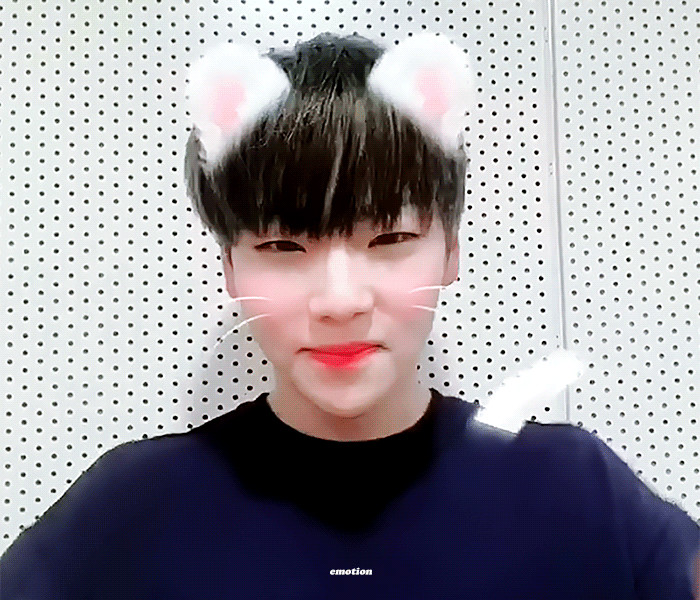 [잡담] 본진🐹들튀 | 인스티즈